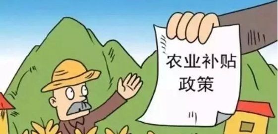 2019年有哪些農(nóng)業(yè)新政策？看看這六大項(xiàng)你知道幾項(xiàng)？